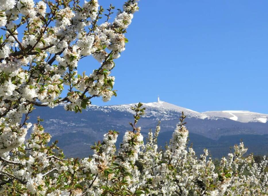 Les Tarraiettes Au Pied Du Luberon Villa Lourmarin Exterior foto